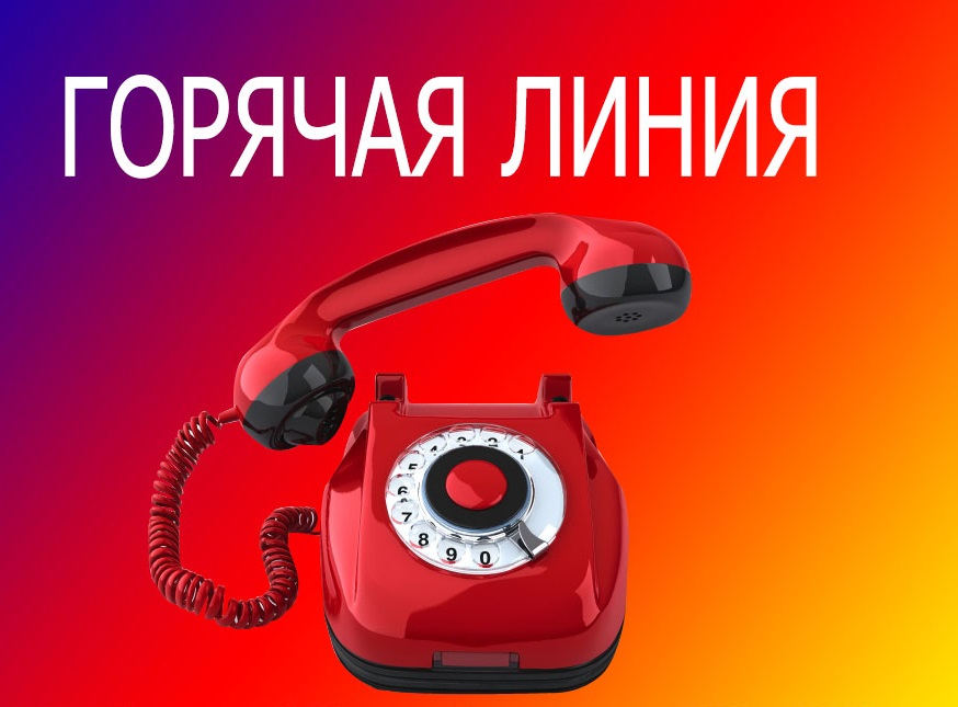 Горячая линия по вопросу организации питания